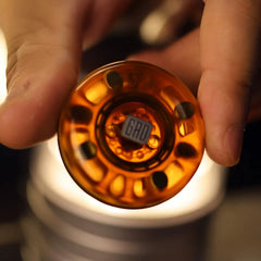 Motor Jelly